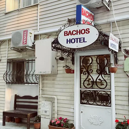 Bachos Sultanahmet Sea View Terrace ホテル *