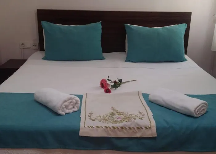 ホテル Bachos Sultanahmet Sea View Terrace *