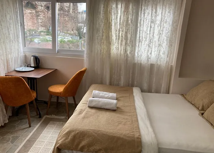 ホテル Bachos Sultanahmet Sea View Terrace *