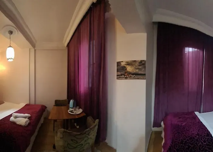 Bachos Sultanahmet Sea View Terrace ホテル *