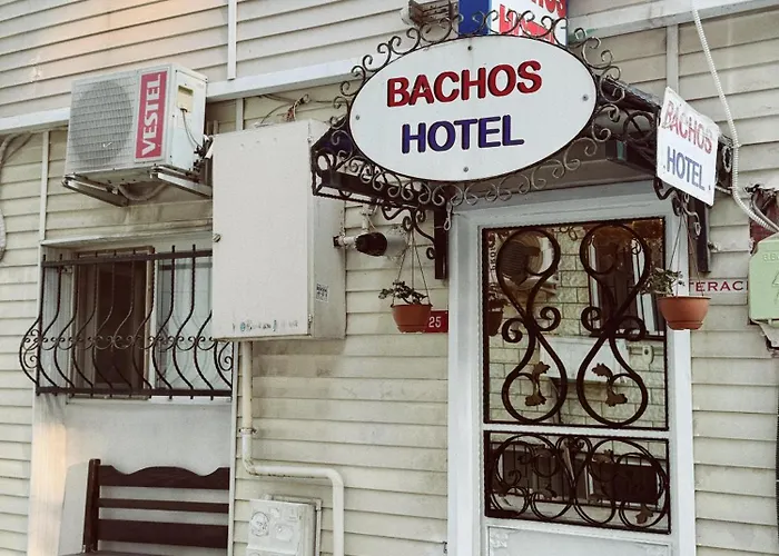 Bachos Sultanahmet Sea View Terrace ホテル *