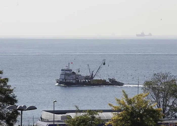 ホテル Bachos Sultanahmet Sea View Terrace *